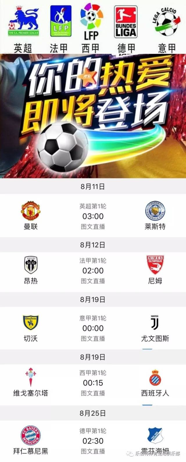 新秀合同球